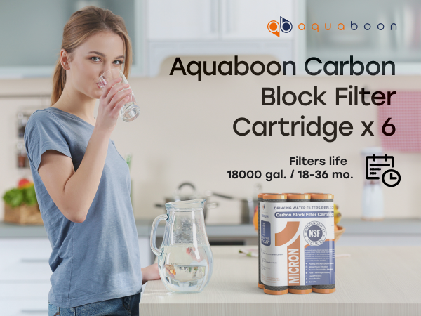 Aquaboon 1 Micron Carbon Block Water Filter